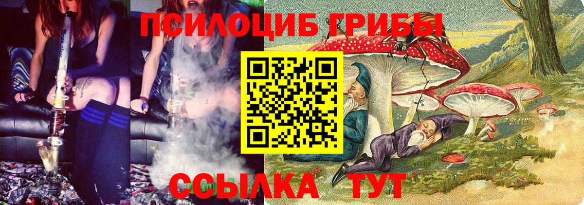 Галлюциногенные грибы Psilocybe Петропавловск-Камчатский