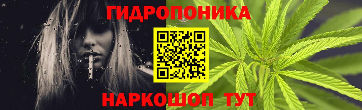 Бошки марихуана конопля Петропавловск-Камчатский